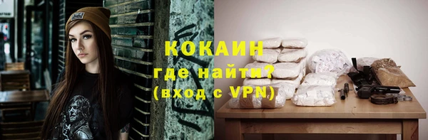 мдпв Верея