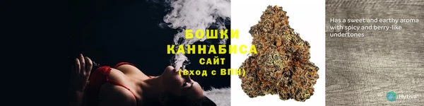 прущие грибы Верхнеуральск