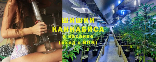 прущие грибы Верхнеуральск