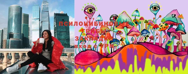 мдпв Верея