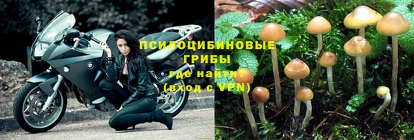 мдпв Верея